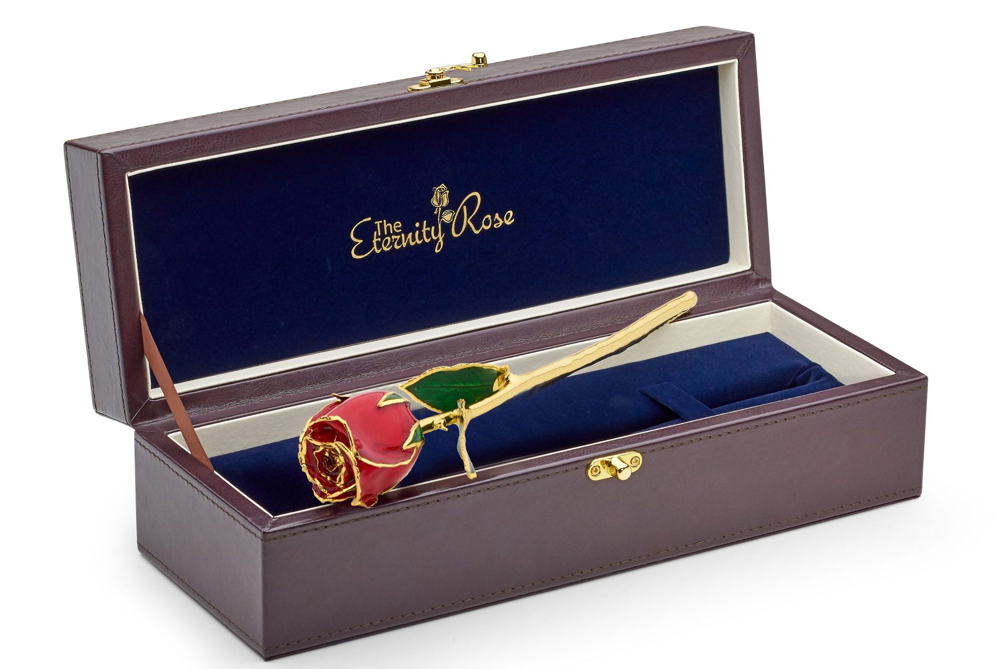 A symbol of undying love, The Eternity Rose is one flower that will never wilt - Vimarsana News