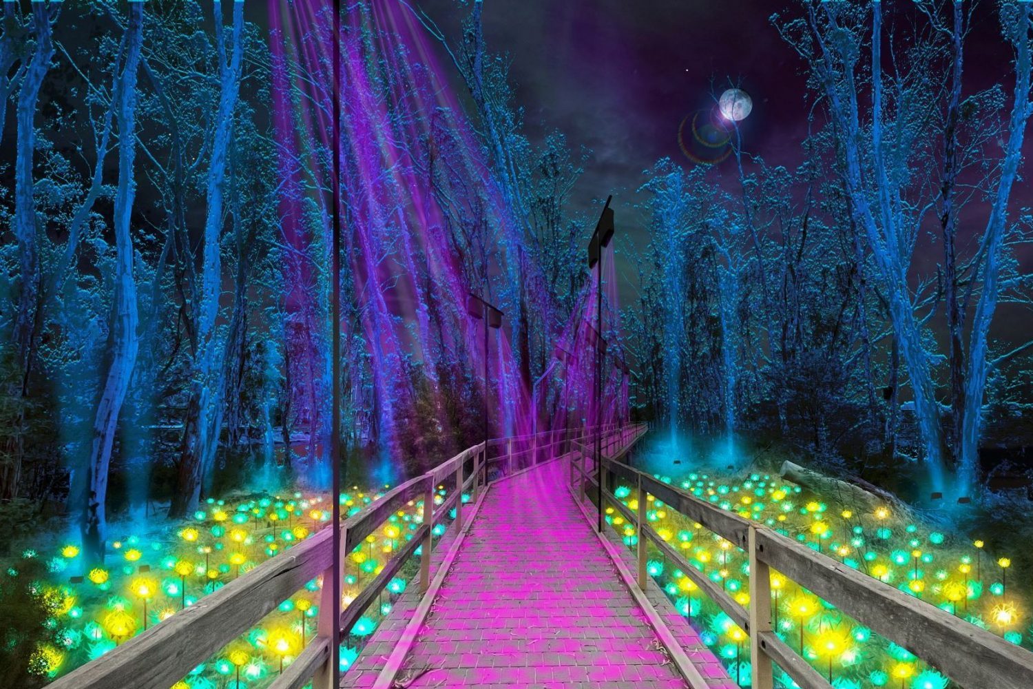 A vibrant new audiovisual festival will light up the Murray River next month - Vimarsana News