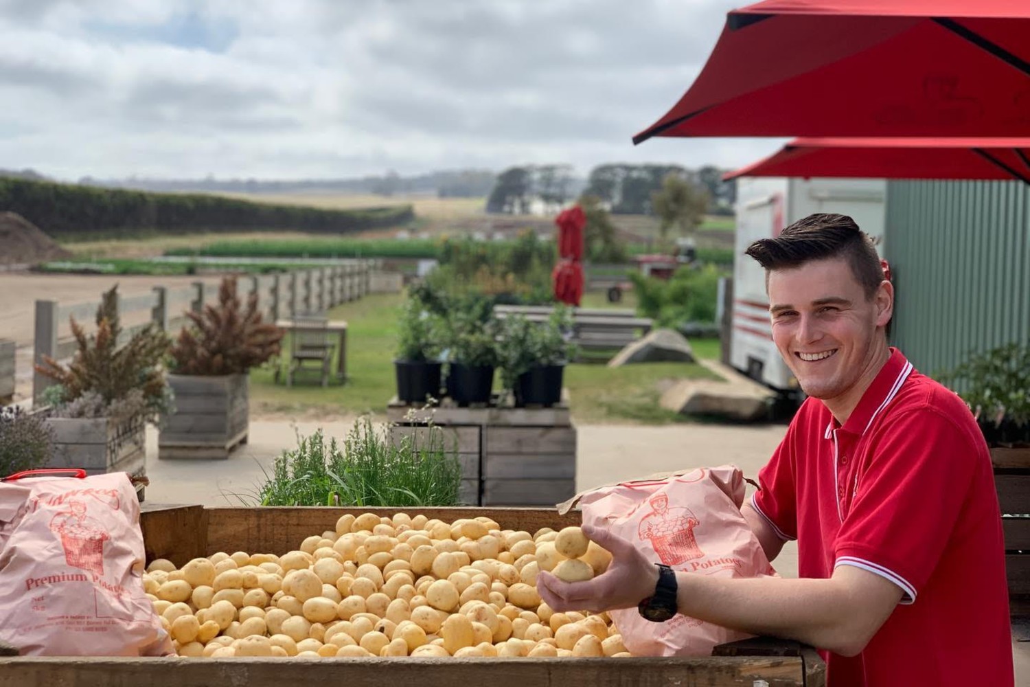 Explore the Peninsula's famous fresh produce at Hawkes Farm - Vimarsana News